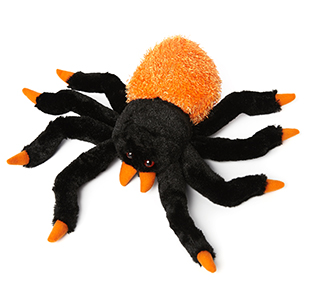 Pluesch-Spinne in schwarz/orange